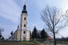 IMGP1571