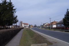 IMGP1579
