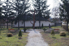 IMGP1590