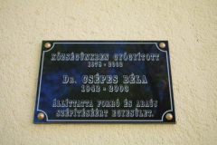 IMGP3369