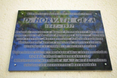 IMGP3371