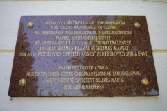 IMGP3377