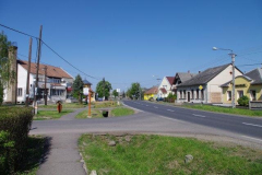 IMGP3385
