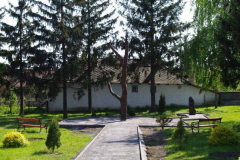 IMGP3391